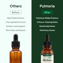 Pulmoria Wellness Mullein Drops