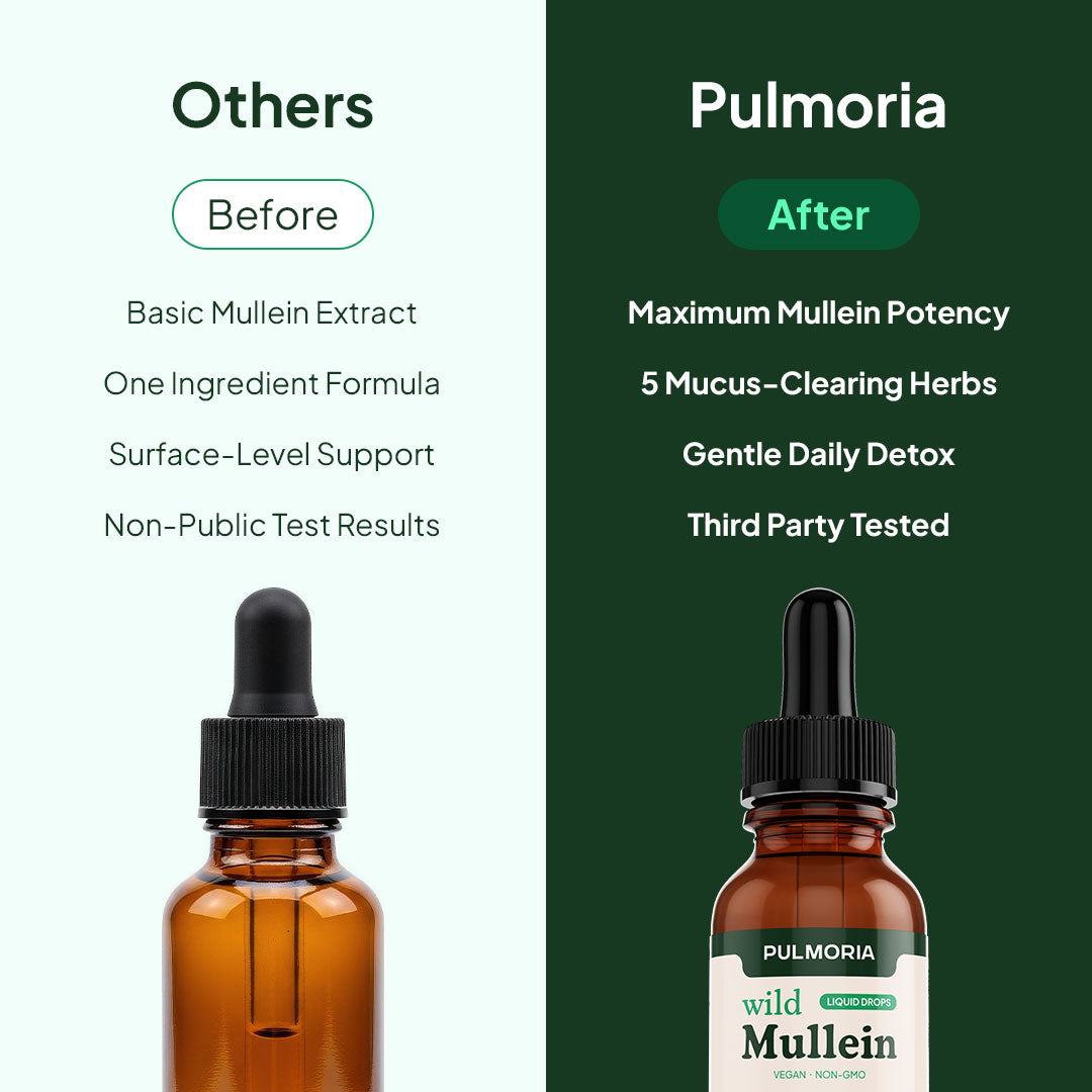 Pulmoria Wellness Mullein Drops
