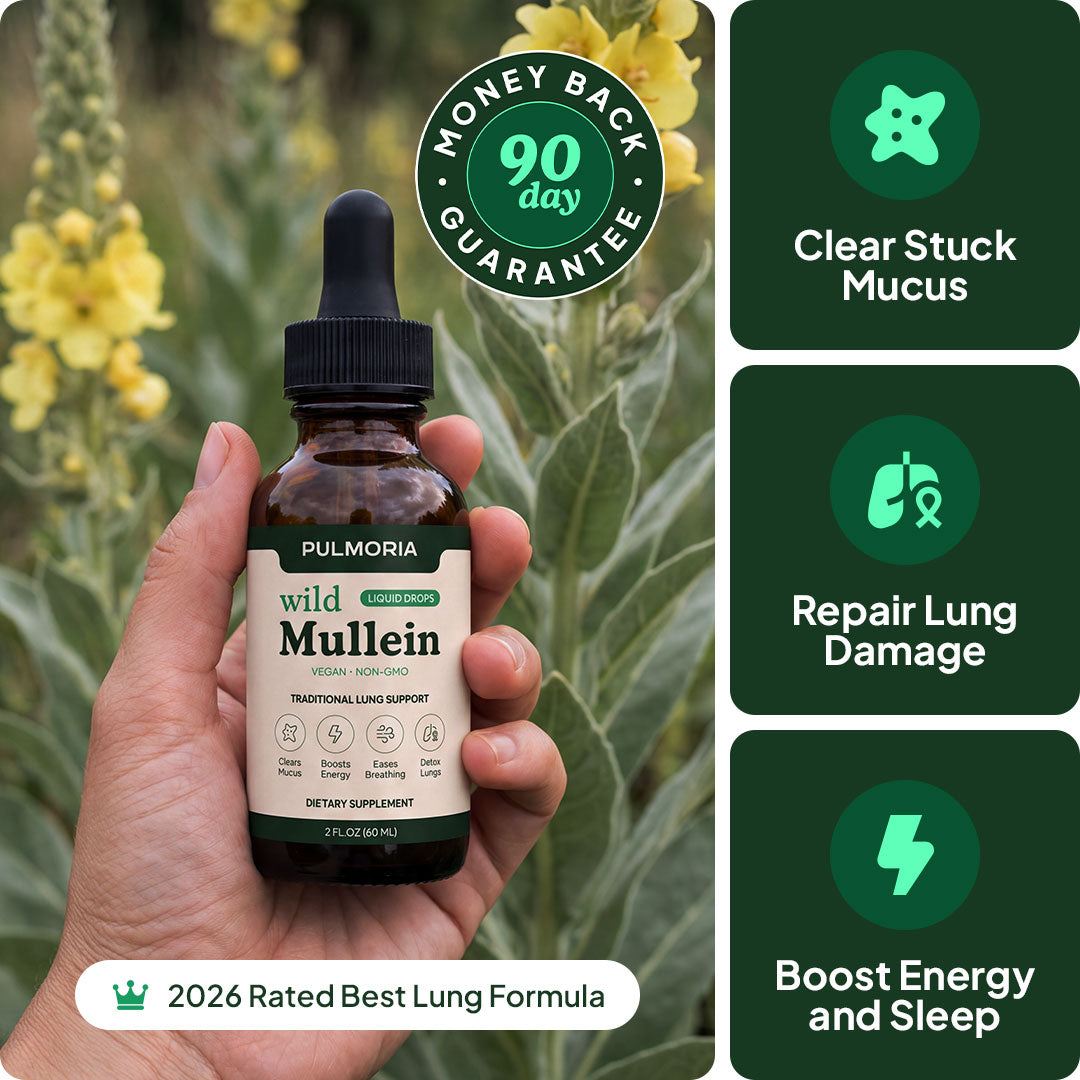 Pulmoria Wellness Mullein Drops