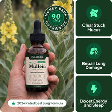 Pulmoria Wellness Mullein Drops