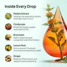 Pulmoria Wellness Mullein Drops