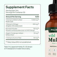 Pulmoria Wellness Mullein Drops